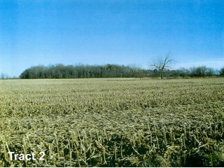 TRACT 2 - HIGH QUALITY LAND AUCTION - 300+/- ACRES OFFERED IN 5 TRACTS IN HENRY CO., INDIANA